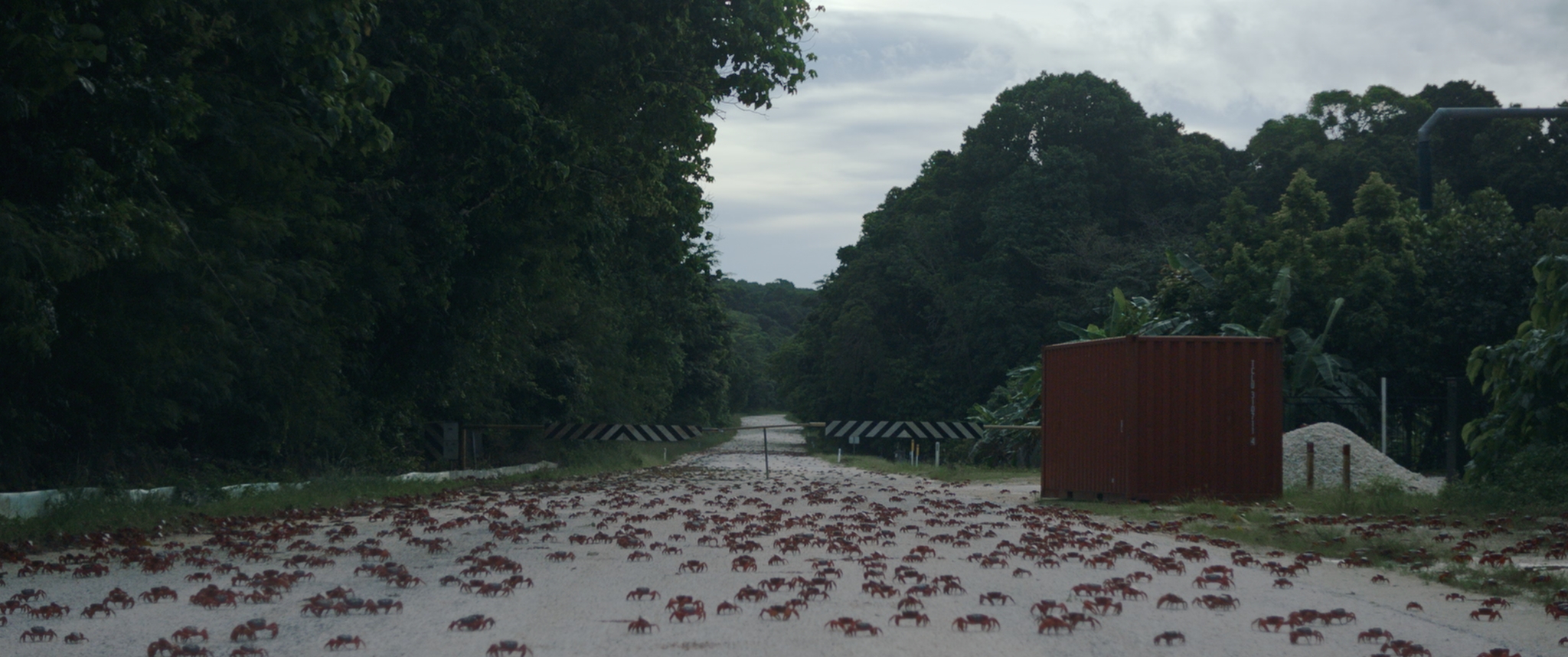 Island Of The Hungry Ghosts – De DocUpdate
