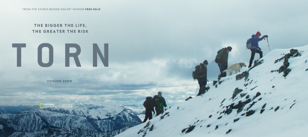 Torn – De DocUpdate