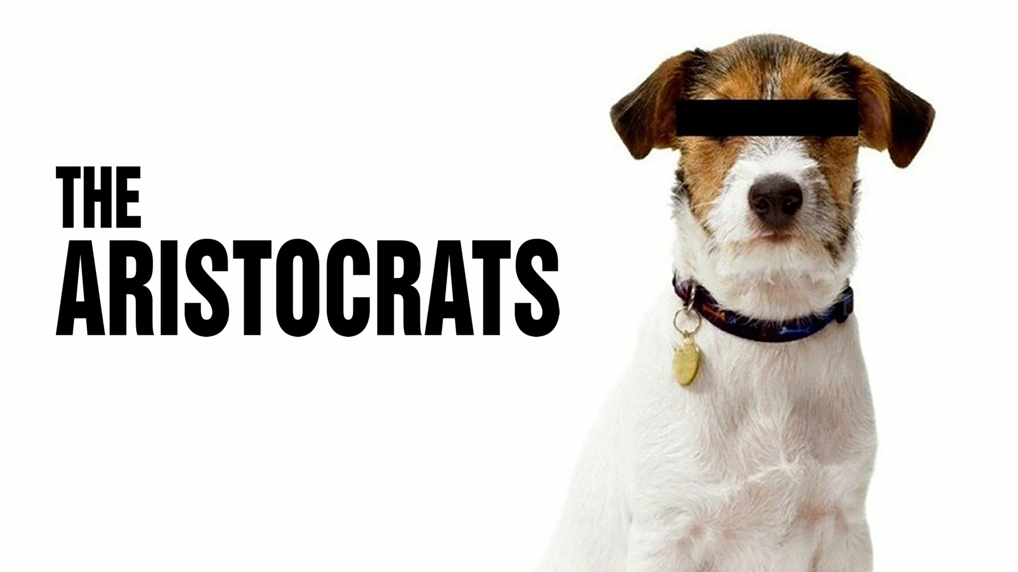 The Aristocrats – De DocUpdate