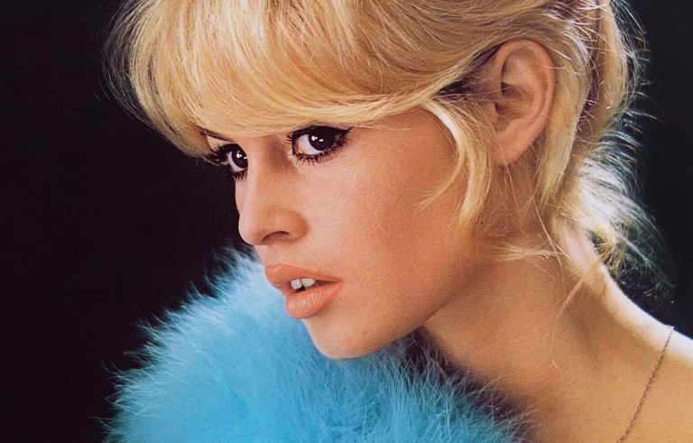 Bardot – De DocUpdate