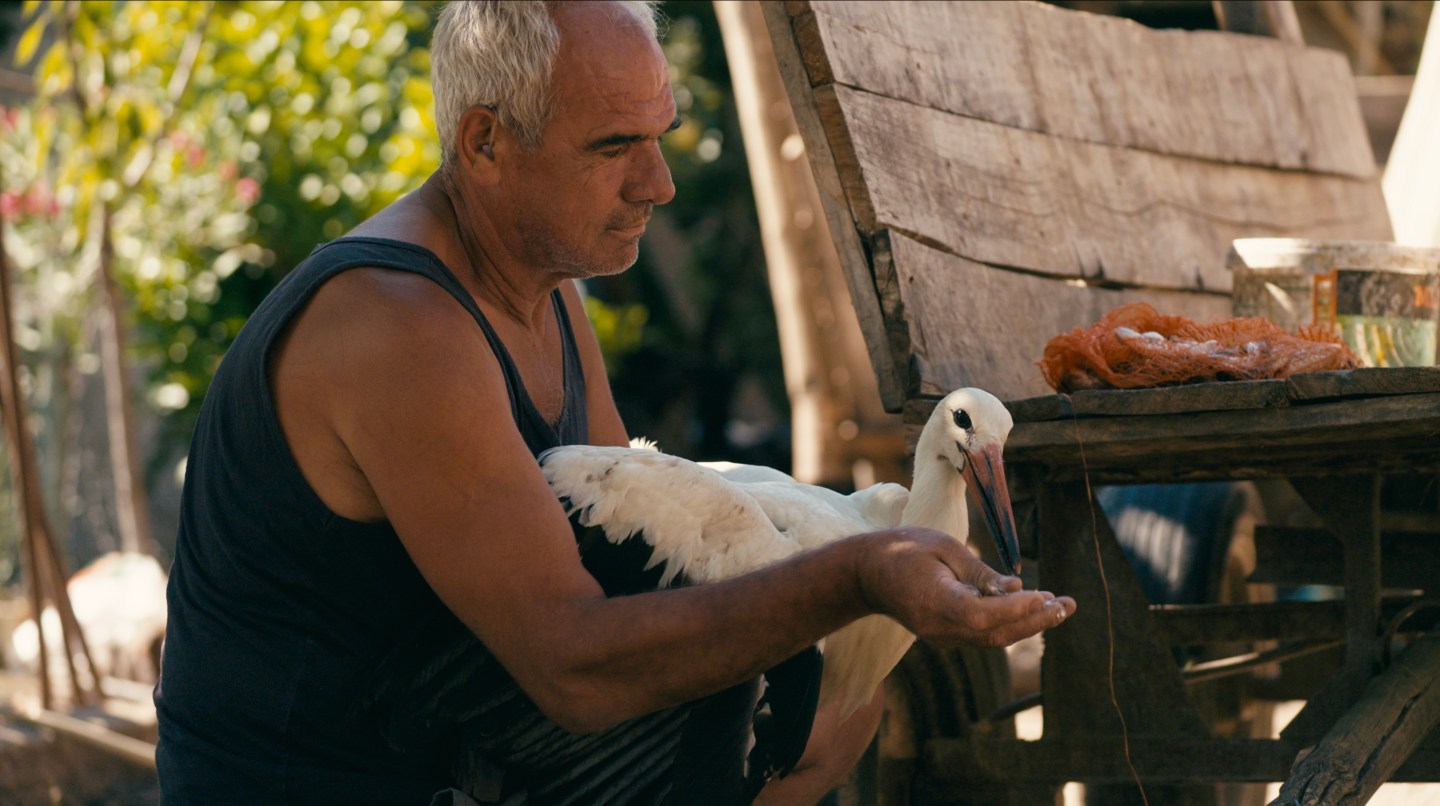 The Tale Of Silyan – De DocUpdate