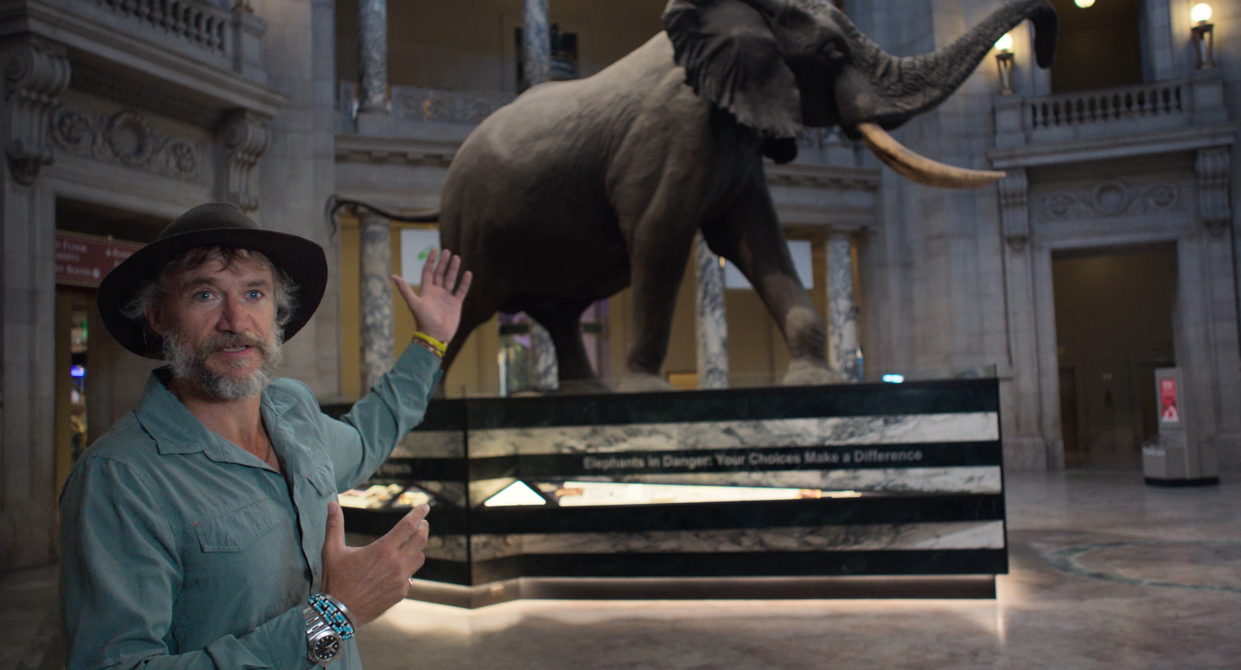 Ghost Elephants – De DocUpdate