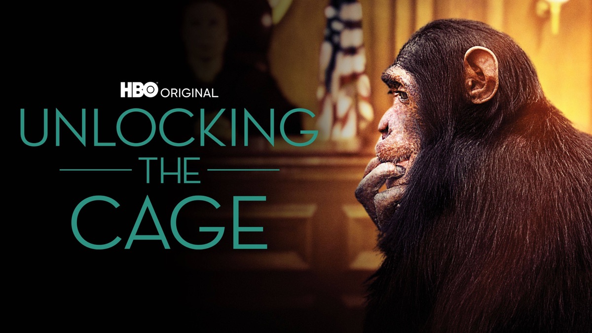 Unlocking The Cage – De DocUpdate